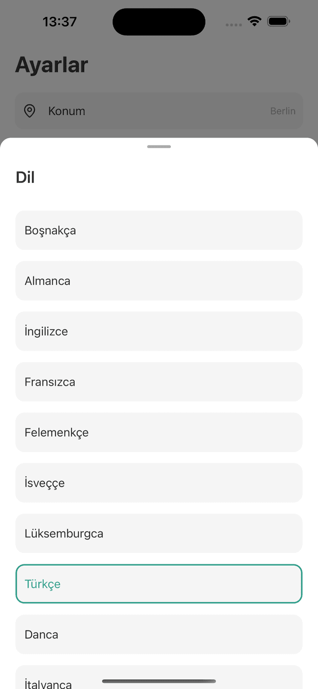 Çok Dilli Arayüz